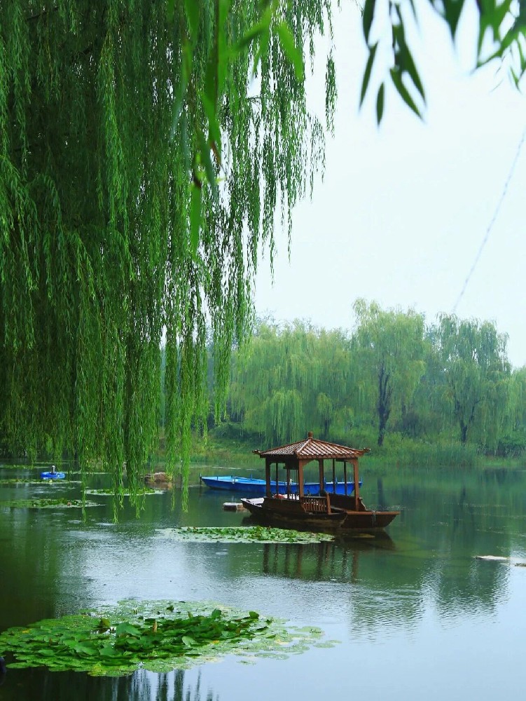 烟雨漫过梦想小镇的秋